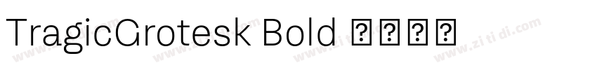 TragicGrotesk Bold 字体转换